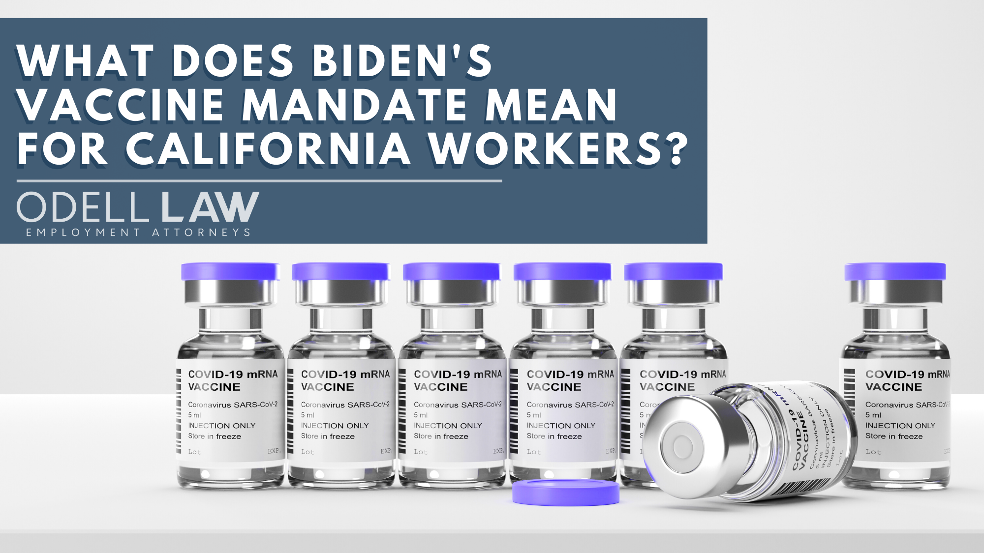 What Does Biden's 2021 Vaccine Mandate Mean for California Workers? 1 vaccine mandate